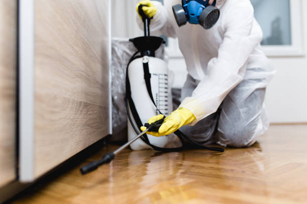 Best Best Pest Control Companies  in Greenacres, FL