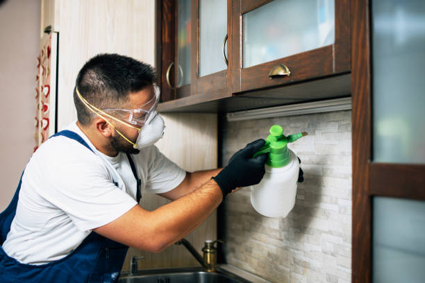 Best Residential Pest Control  in Greenacres, FL