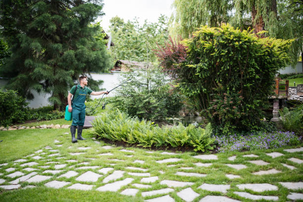Best Affordable Pest Control Services  in Greenacres, FL