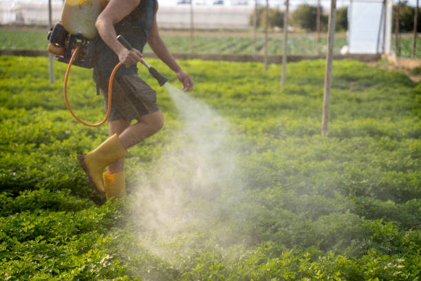 Best Mosquito Control Services  in Greenacres, FL