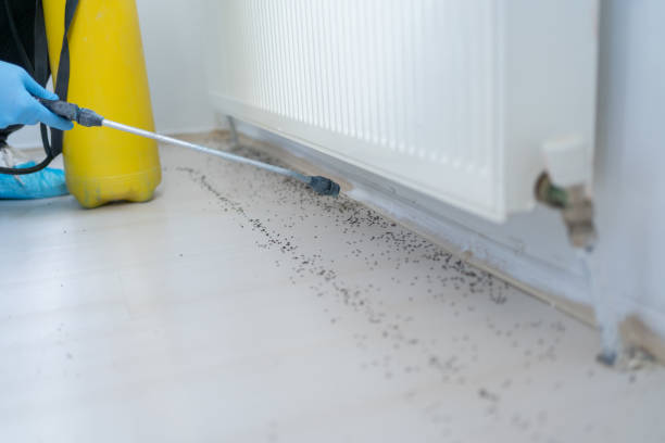 Best Pest Control Near Me  in Greenacres, FL