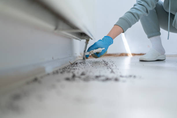 Best Exterminator Services  in Greenacres, FL