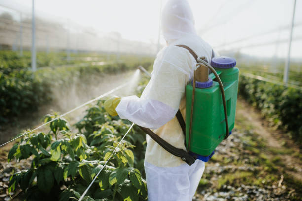 Best Wasp Removal Services  in Greenacres, FL